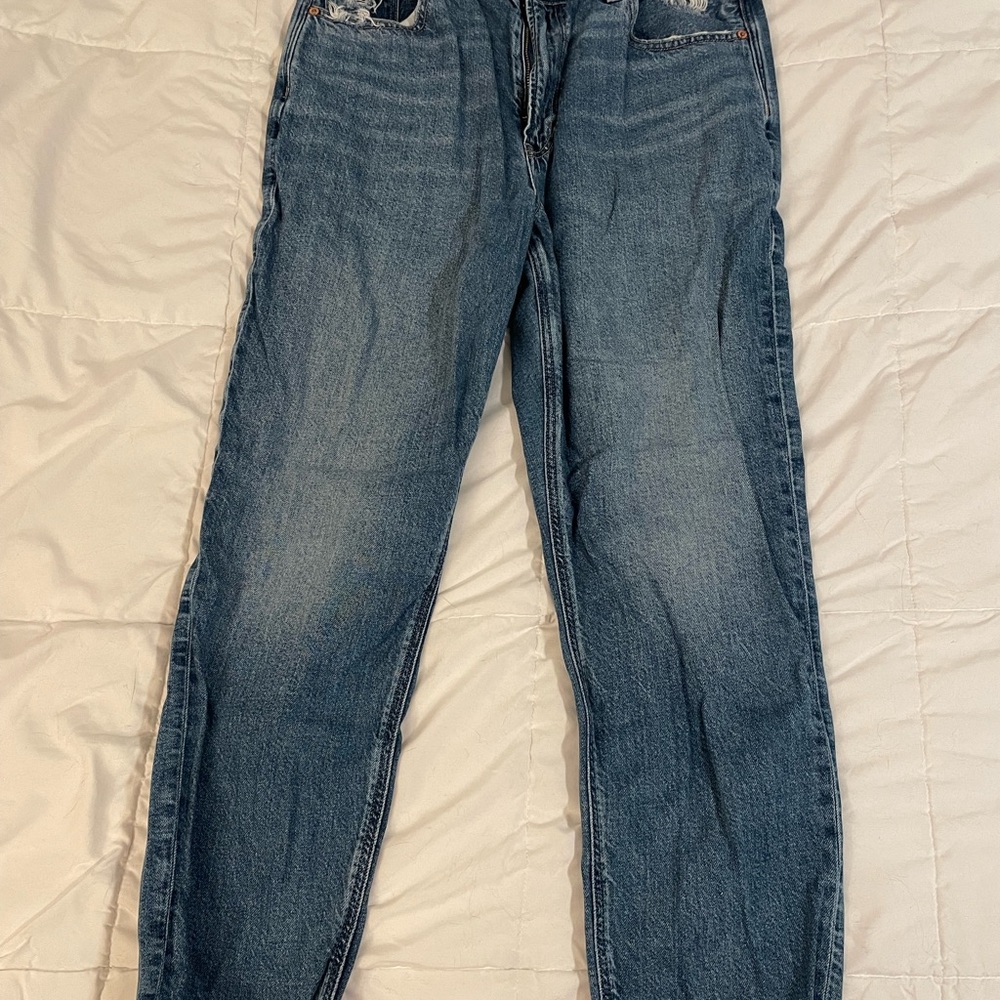 American Eagle Strigid Mom Jeans 12 short